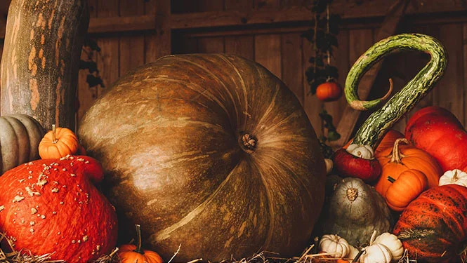 events Fall Food Drive